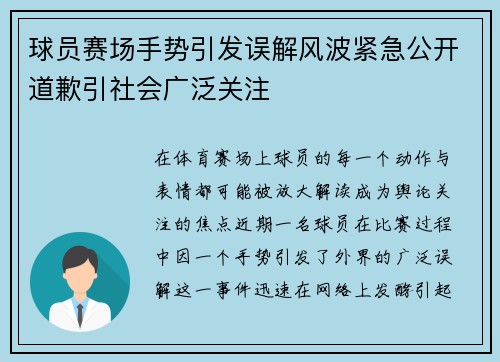 球员赛场手势引发误解风波紧急公开道歉引社会广泛关注